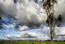 50亿美元新篮球联赛叫板NBA 我国或是主办地之一.