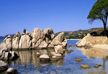 [国际足球]多特蒙德晋级德国足协杯第二轮.